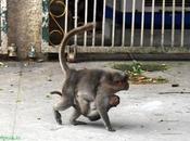 Don't Cling Your Troubles Them