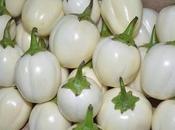 Benefits Garden Fertility