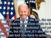 Progressives Should Work Hard Re-Elect Biden