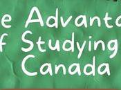 Exploring Study Canada Scholarships: Your Path Educational Excellence