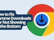 Chrome Downloads Showing Bottom