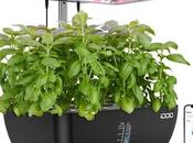 Perfect Anyone Wants Grow Their Plants Home!