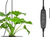 Promotes Healthy Growth Increases Plant Yield!