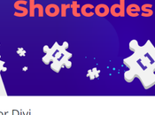 Easy Steps Shortcodes Divi Theme 2023: Best Ways Follow!