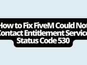 FiveM Could Contact Entitlement Service Status Code