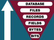 Levels Data Hierarchy Information Technology