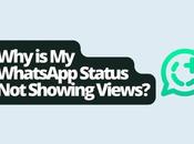 WhatsApp Status Showing Views?