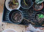 Gardening 101: Understanding Soil Types Improving Garden Health