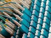 Understanding Different Types Neural Networks: Beginner's Guide