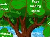 What Search Engine Optimization.