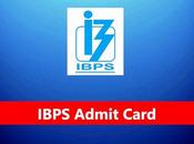 IBPS Admit Card 2023 XIII 3049 Posts