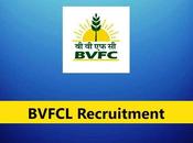 BVFCL Recruitment 2023 Manager, Engineer Officer Posts