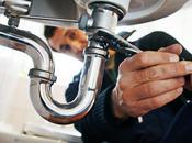 Discover Comprehensive Services Offered Plumbing Professionals