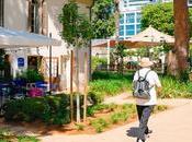 Aviv's Endless Beauty Transformation. Scenic Journey Across Aviv Beach. (video)