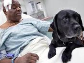 Seeing-eye Risks Life Rescue Blind Subway