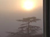 Sarah Posner Jazeera America: Lindsay Pointed Out, There Other Types Inequality Exclusion Some Catholics Pope Adequately Addressed"