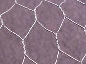 Dream Wiremesh Wolfman World