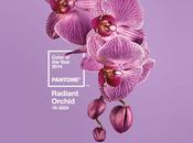 2014 Pantone Color Year Radiant Orchid
