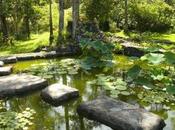 Sunday Devotion: Forgiveness