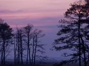 Chincoteague? January? Join Photo Workshop