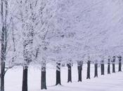 Winter Anime 2014 Genius Compendium