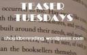 Teaser Tuesdays: Outlander