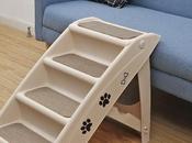 Sometimes Needs Help!