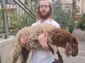 Which Holiday Again?