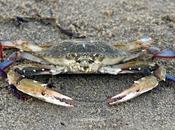 Nandu Kaise Kahoon... Kuch Kehna Sakoon