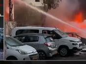 Roundup Videos Interviews (video)