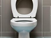 Toilet Won’t Flush? Clogged? Here’s What Need Know
