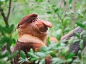 Sarawak Cultural Village: Experience Magical Holiday Amidst Ancient Heritage!