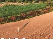 KIVISI ELIYAHU (video)