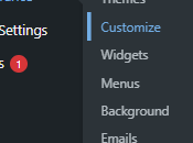 Reign Theme Customizer Setting Branding Options