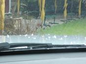 Josie Didn't Expect This!