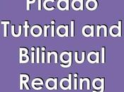 Papel Picado Tutorial Bilingual Reading