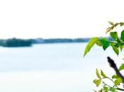 Unveiling Avadi Beyond Defense Establishments Educational Institutions