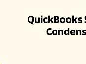 QuickBooks Super Condense Service: Smarter Handle Data