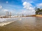 Beaches West Bengal Invigorate Your Senses