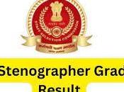 Stenographer Grade Result 2023