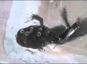 Axolotls Crickets? Some Facts About Amphibians Diet