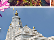 Festive Season Right Time Invest Devika Group Commercial Property Sale Vrindavan