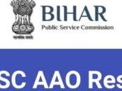 Bihar BPSC Assistant Audit Officer Mains Result 2021