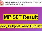 Madhya Pradesh MPPSC State Result 2023