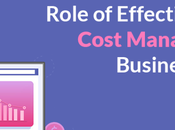 Role Effective Project Cost Management Business Success