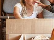 Crucial Tips Safeguarding Your Expensive Furniture During Relocation