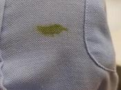 Does Matcha Stain Clothes?
