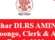 Bihar DLRS AMIN, Kanoongo, Clerk Result 2023