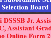 DSSSB Assistant, LDC, Assistant Grade Online Form 2024