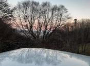 That Frozen Pond?